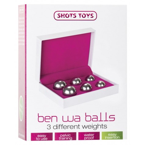 Набор из 6 серебристых вагинальных шариков Ben Wa Balls Set